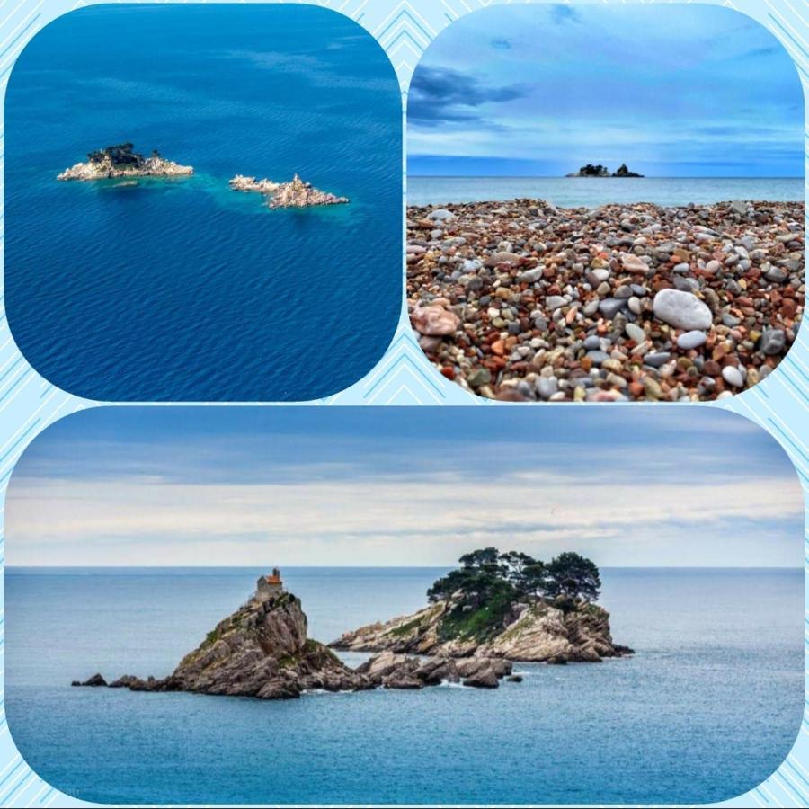 Teodora Obala * Petrovac